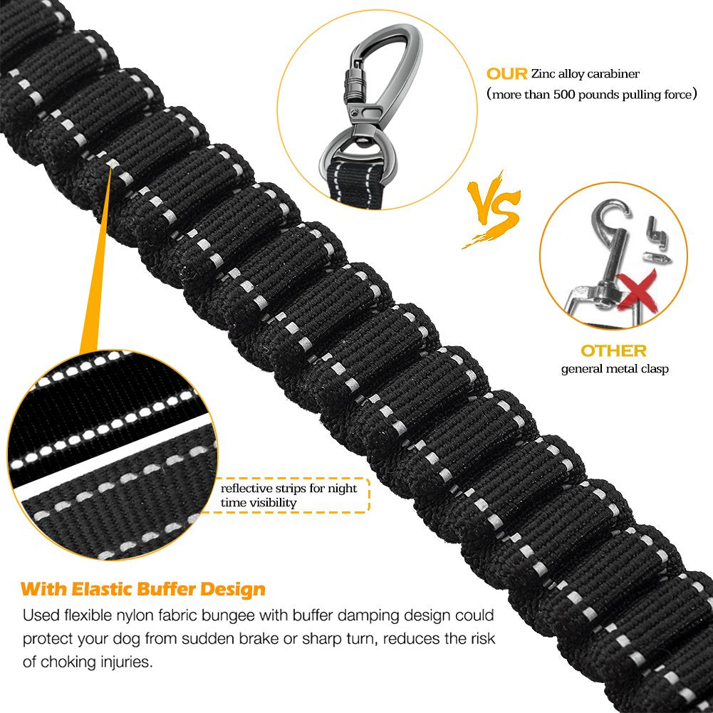 Shock Absorbing Dog Leash with Seat Belt Buckle