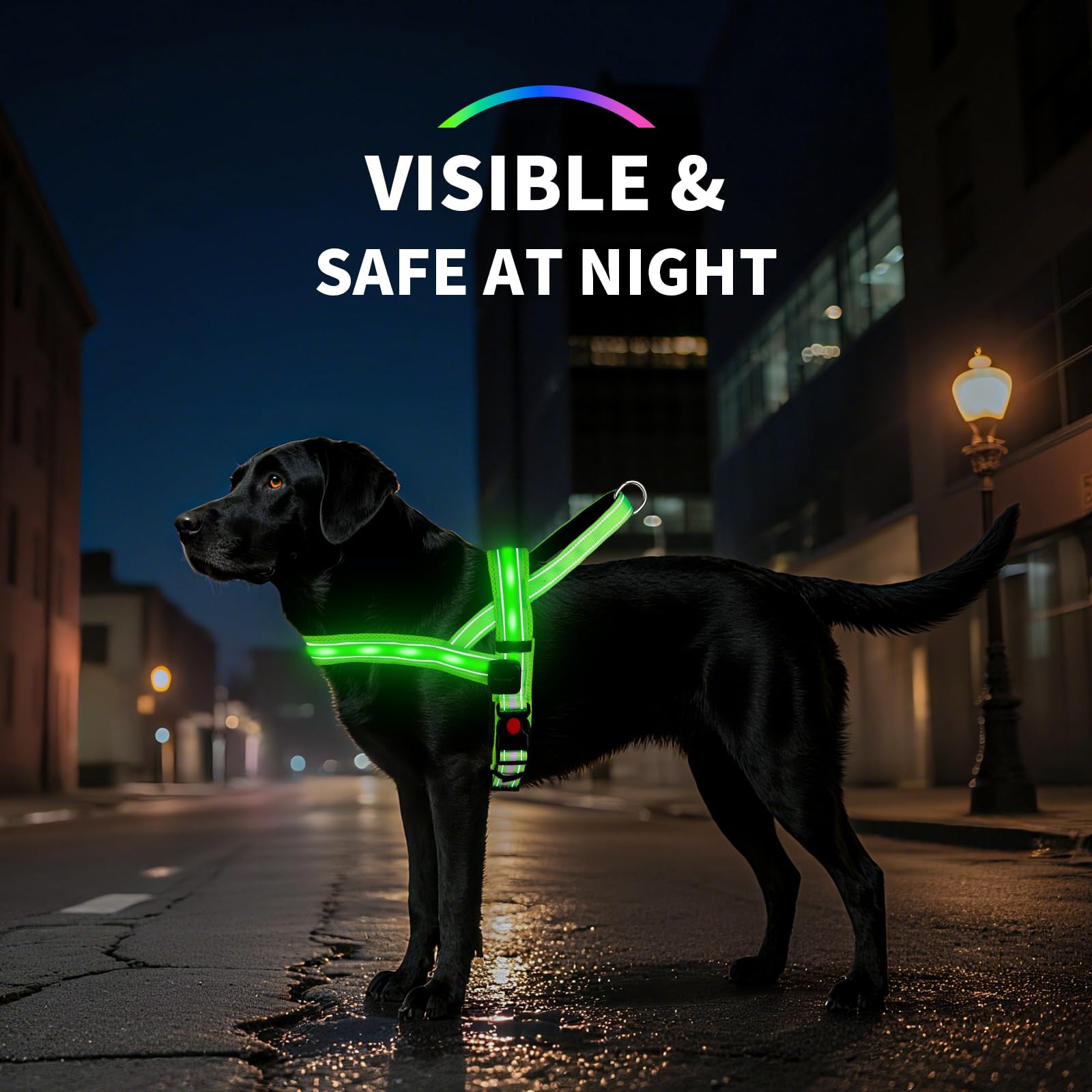 Rechargeable LED Reflective Dog Harness