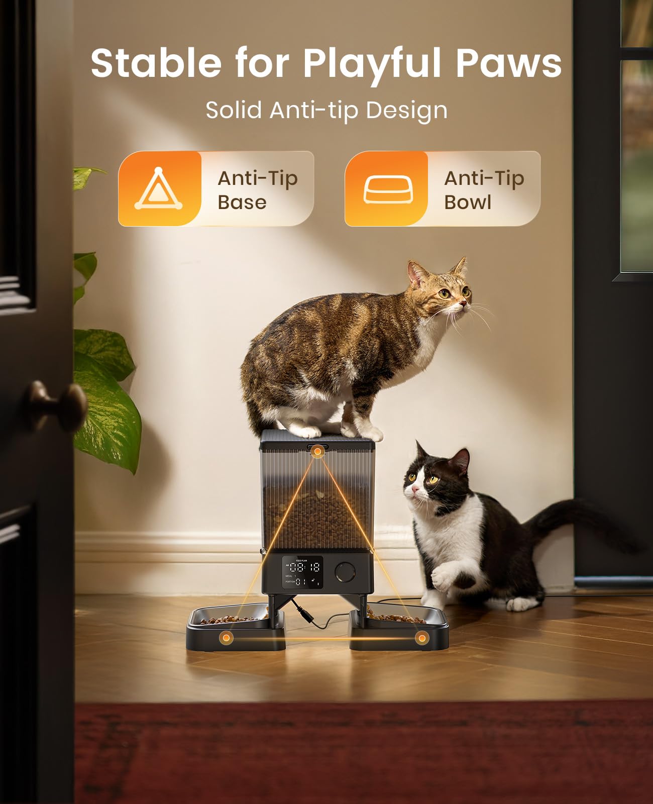 Automatic Pet Feeder for 2 Pets 5L