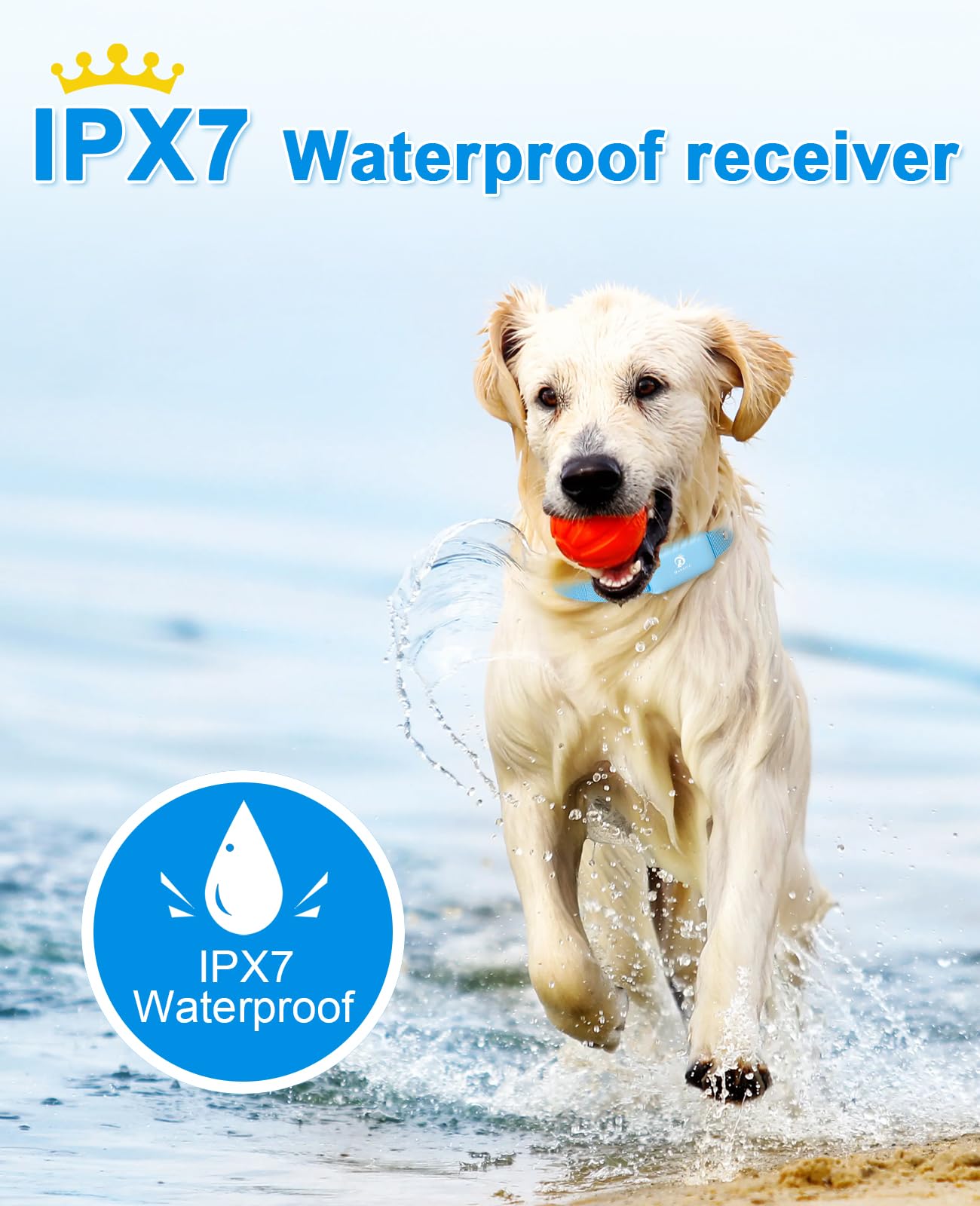 Waterproof Remote Dog Training Collar