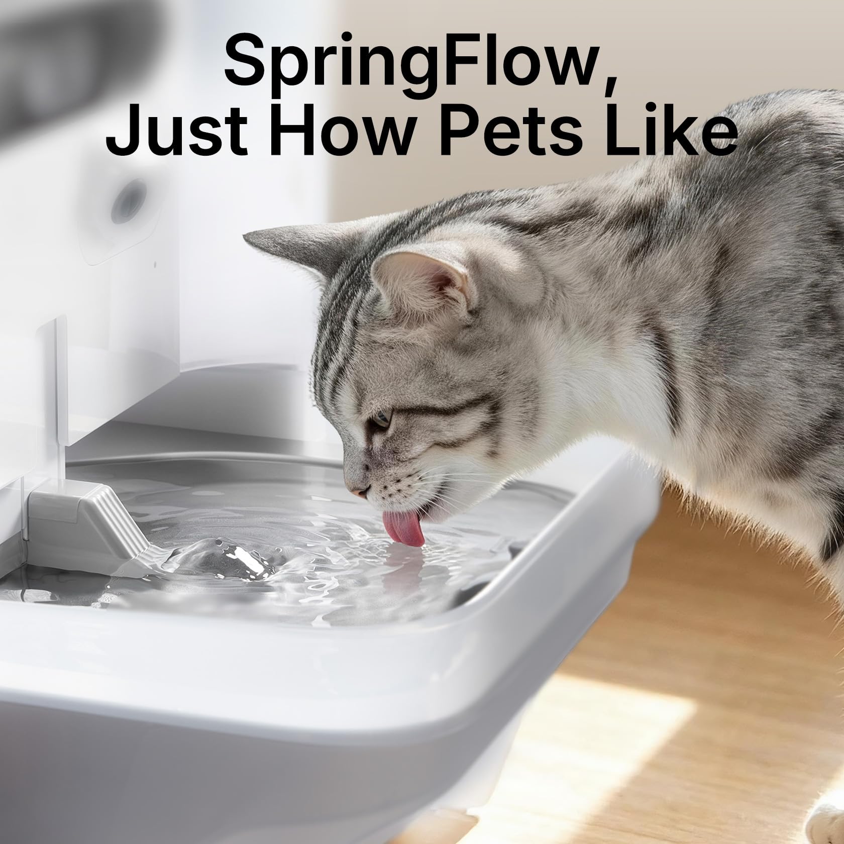 Smart Pet Water Fountain 5L with Camera