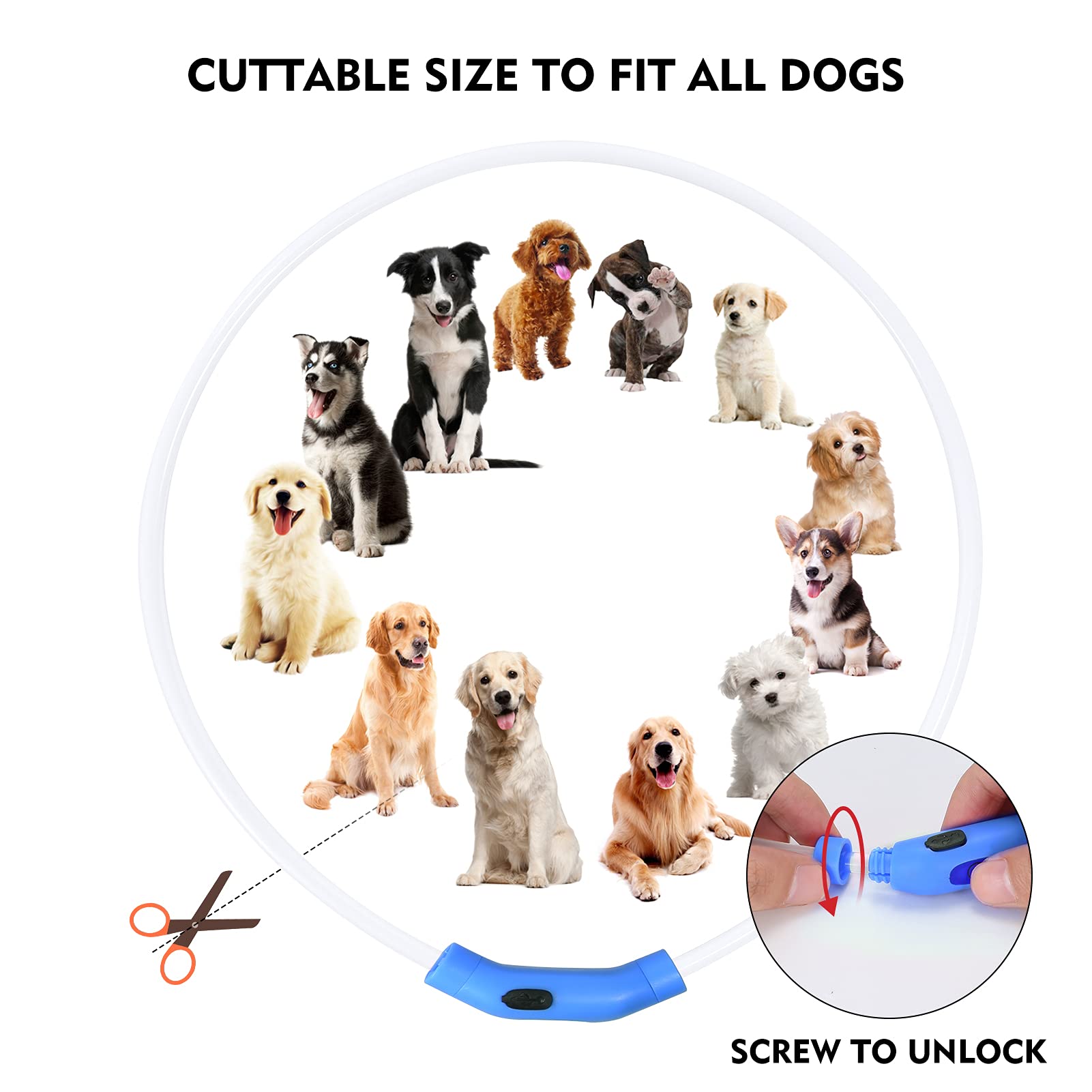 Rechargeable LED Dog Safety Collar