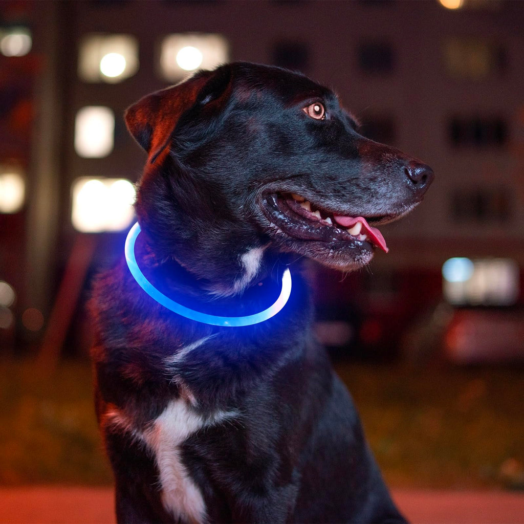 Rechargeable LED Dog Safety Collar