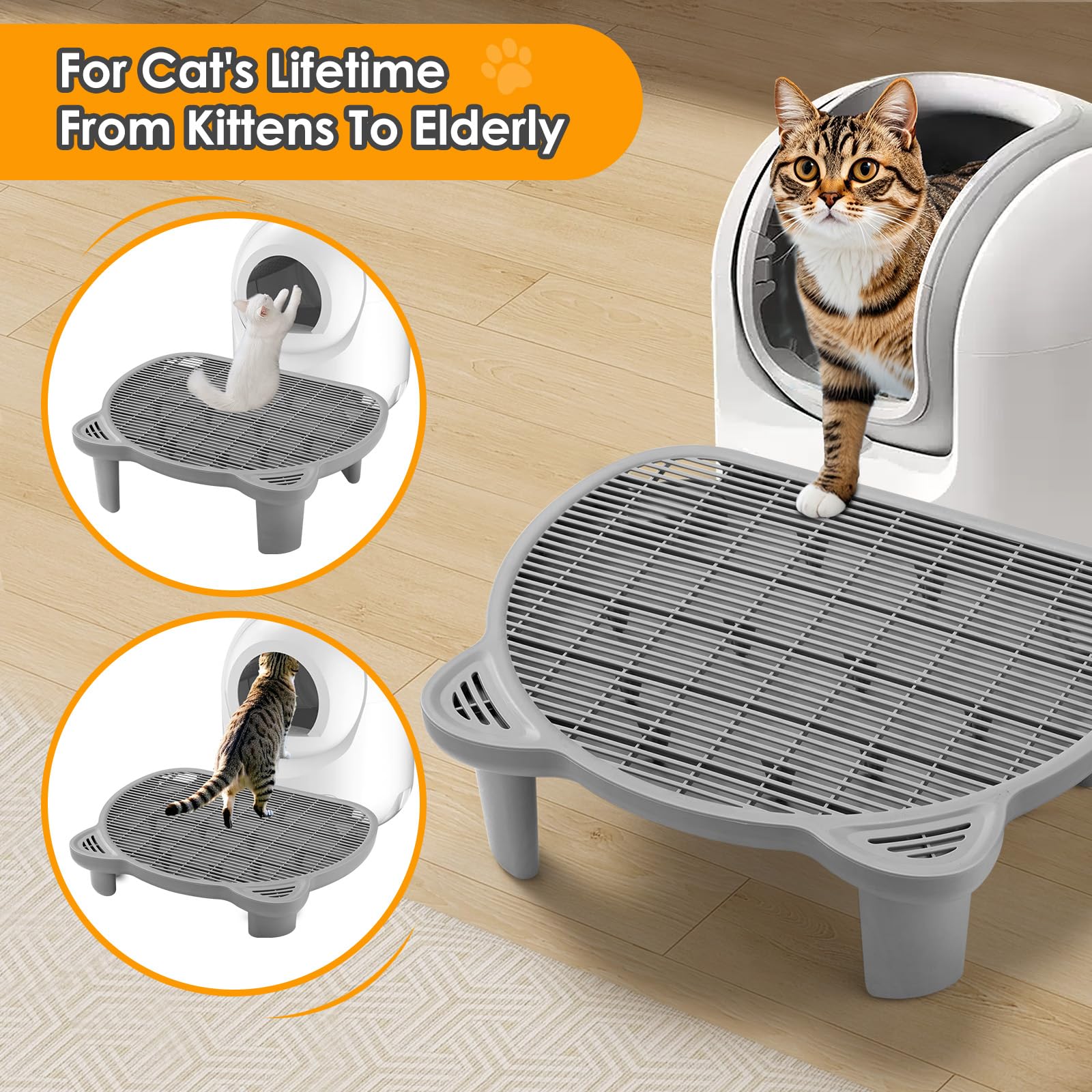 Litter Box Ramp