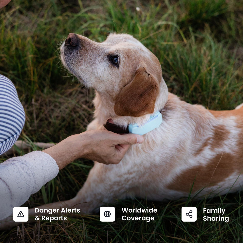 Smart GPS Dog Tracker