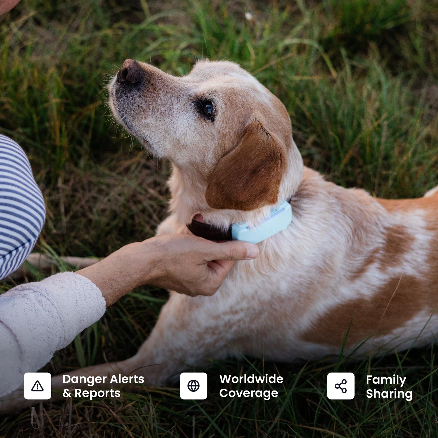 Smart GPS Dog Tracker