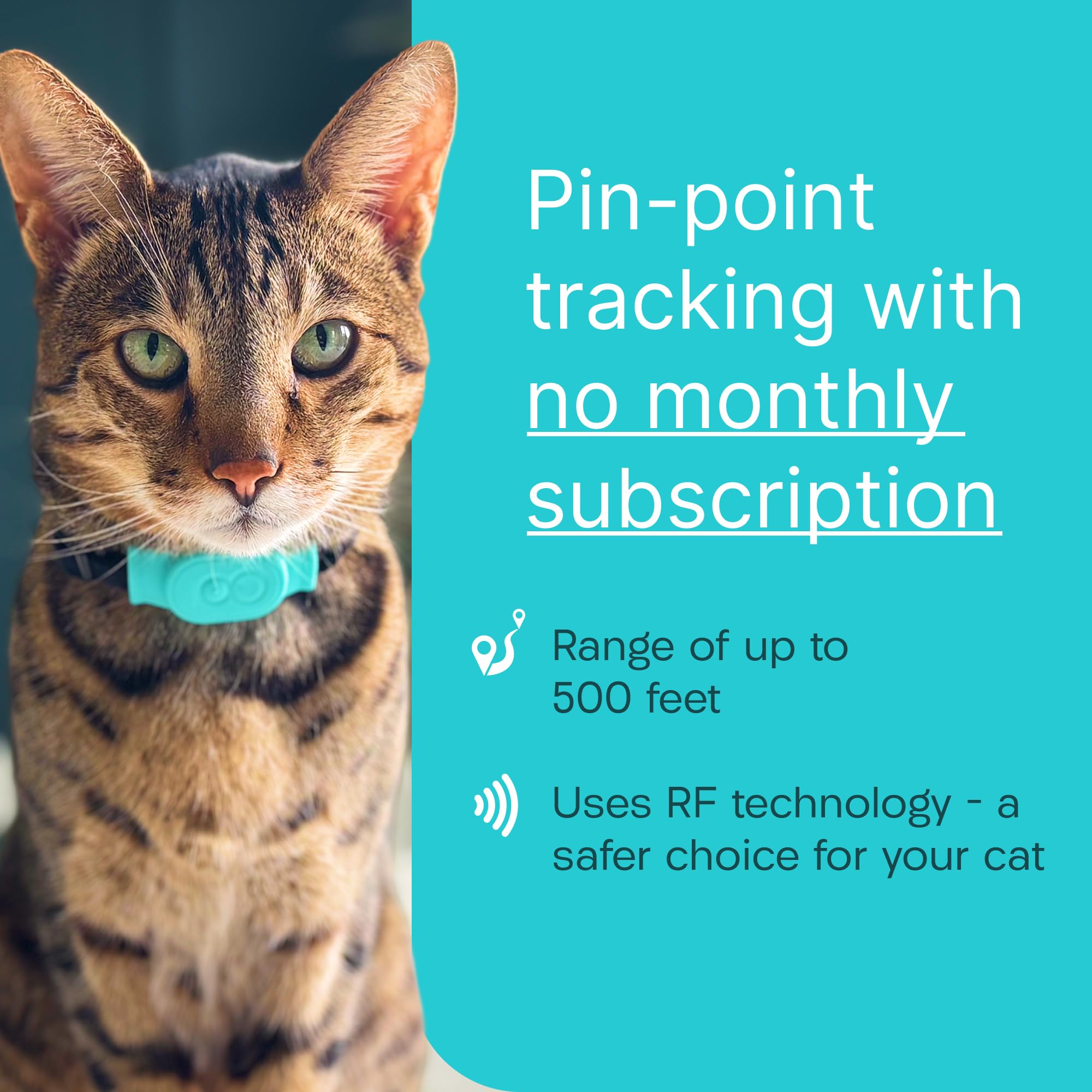 Cat Tracker with Homing Tags