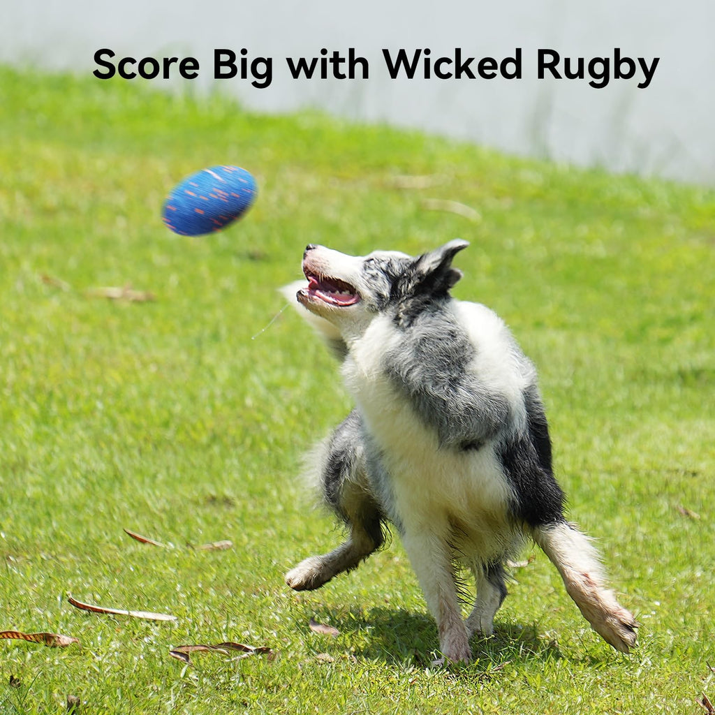 Interactive Automatic Dog Rugby Toy
