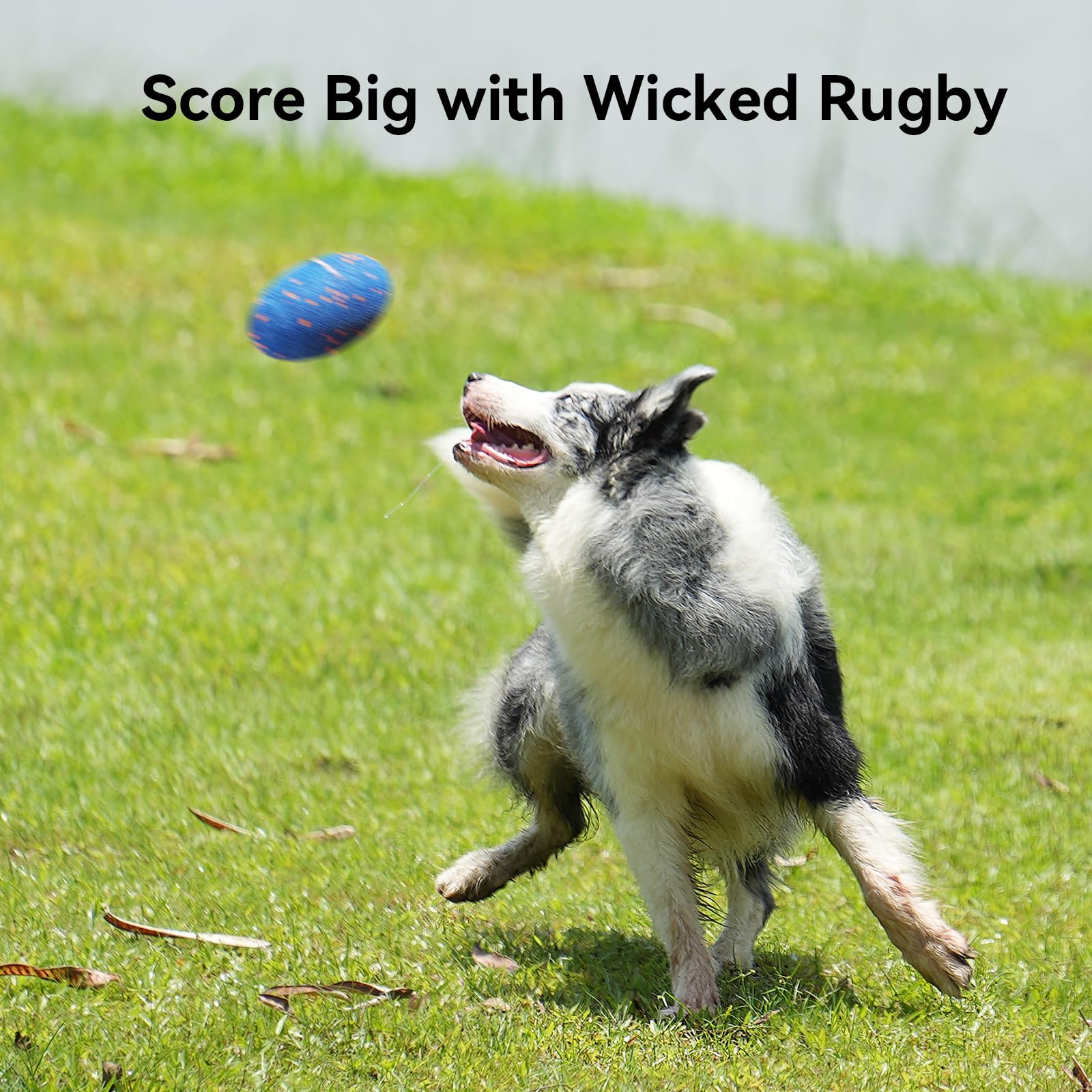 Interactive Automatic Dog Rugby Toy