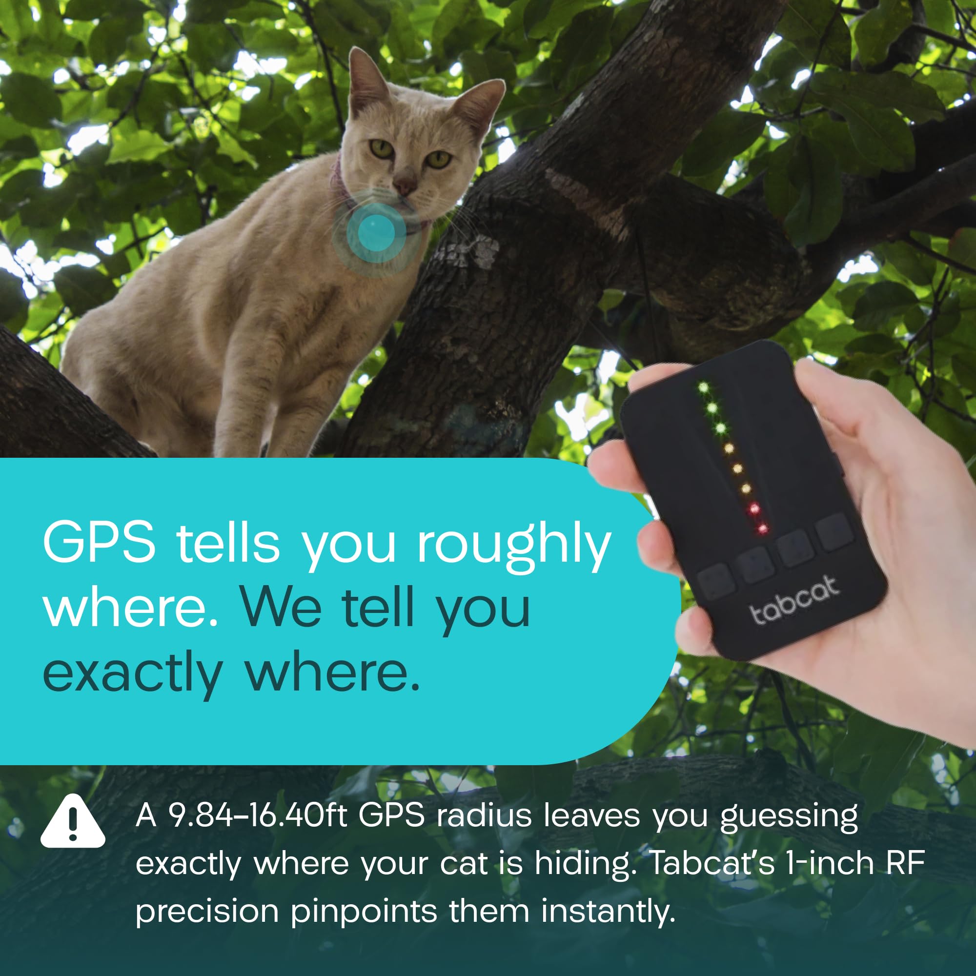 Cat Tracker with Homing Tags