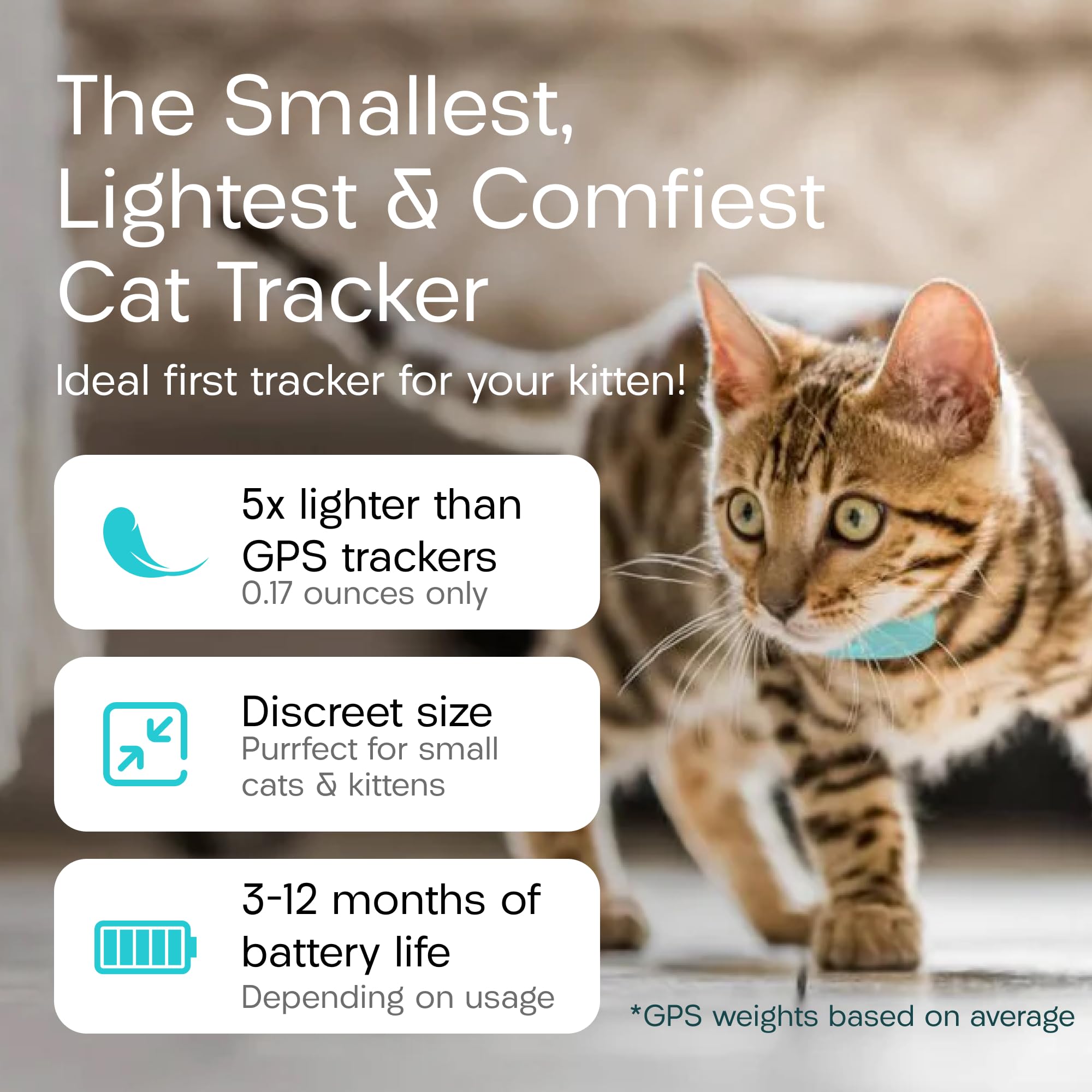 Cat Tracker with Homing Tags