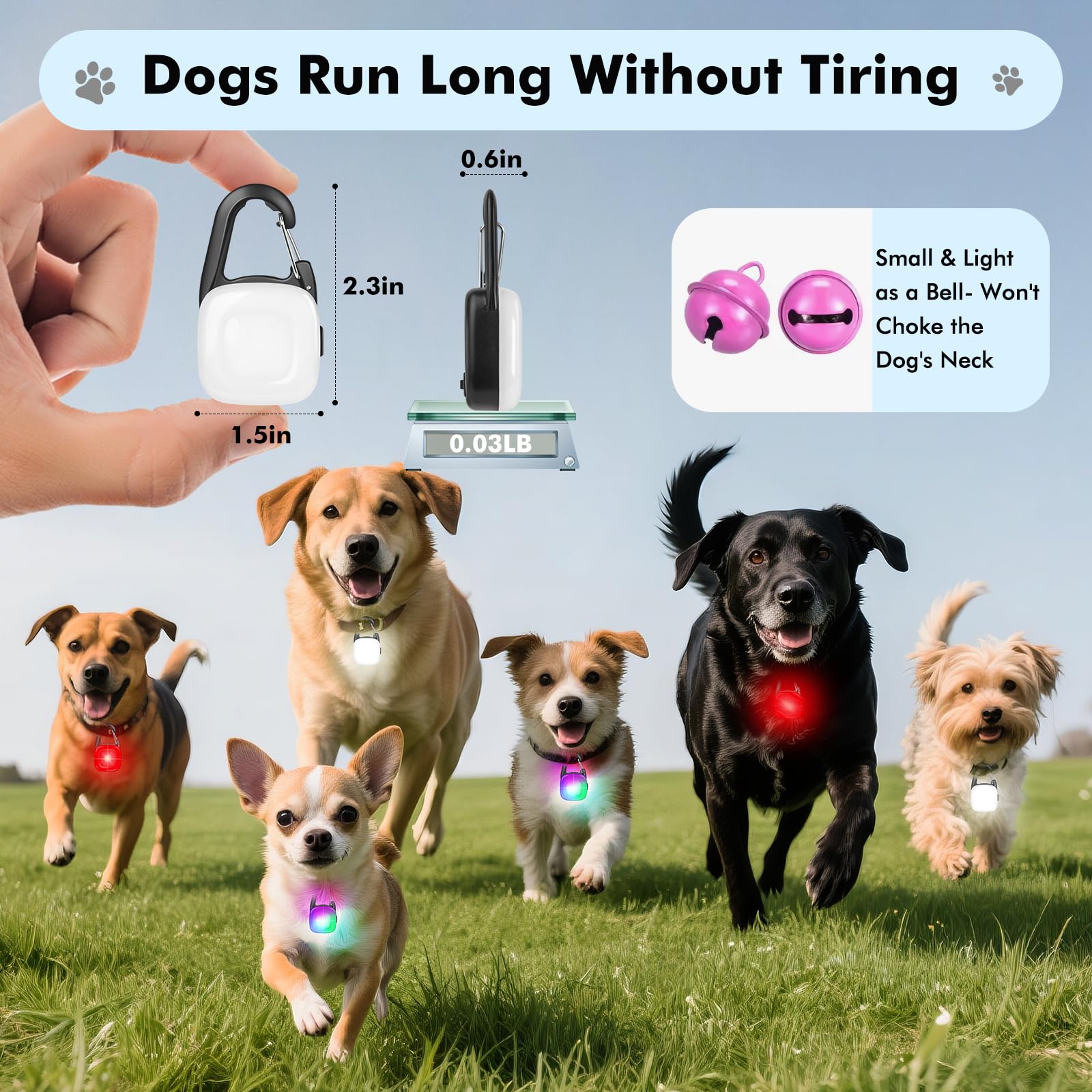 2-Pack Rechargeable Dog Collar Lights for Night Walking
