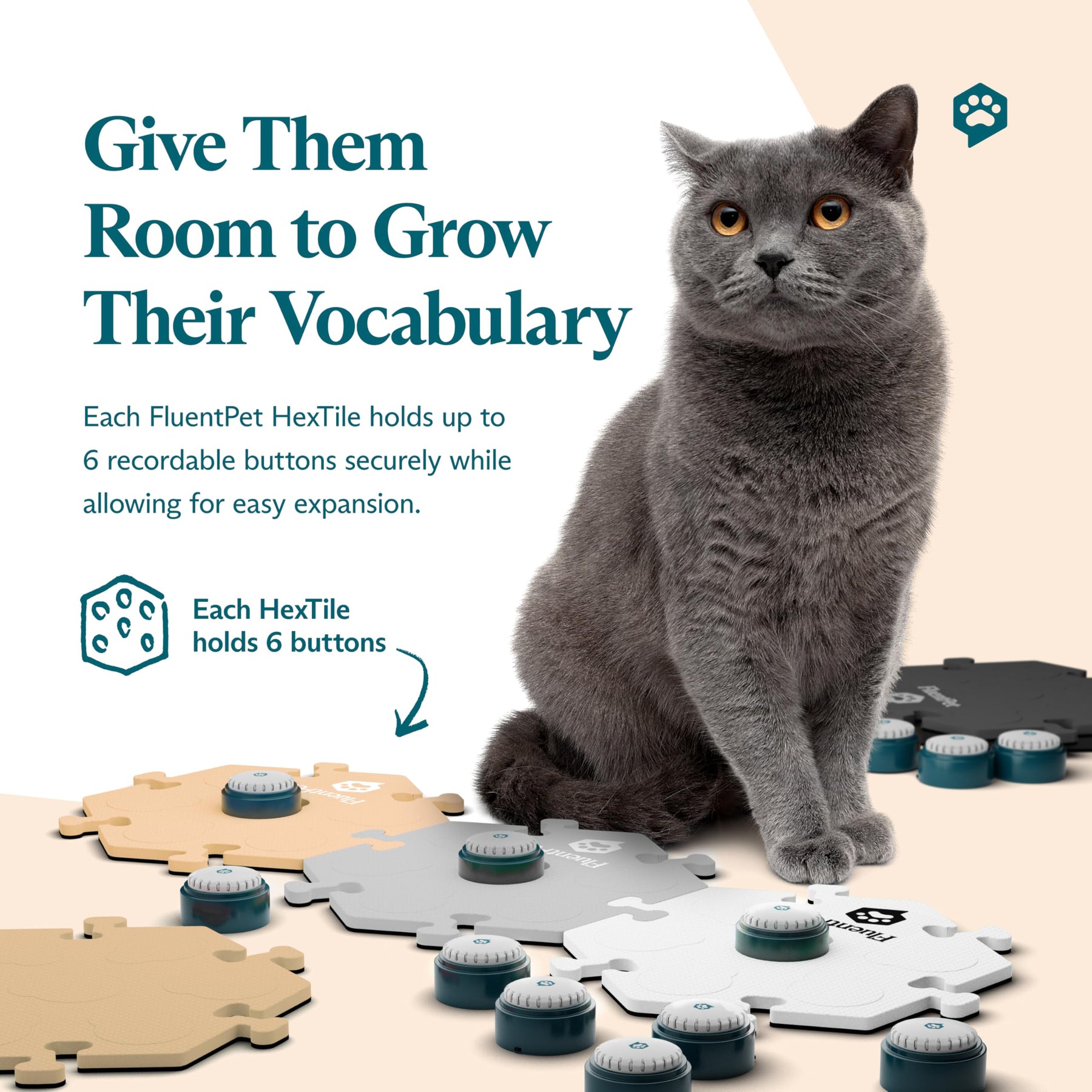 FluentPet Talking Button Kits