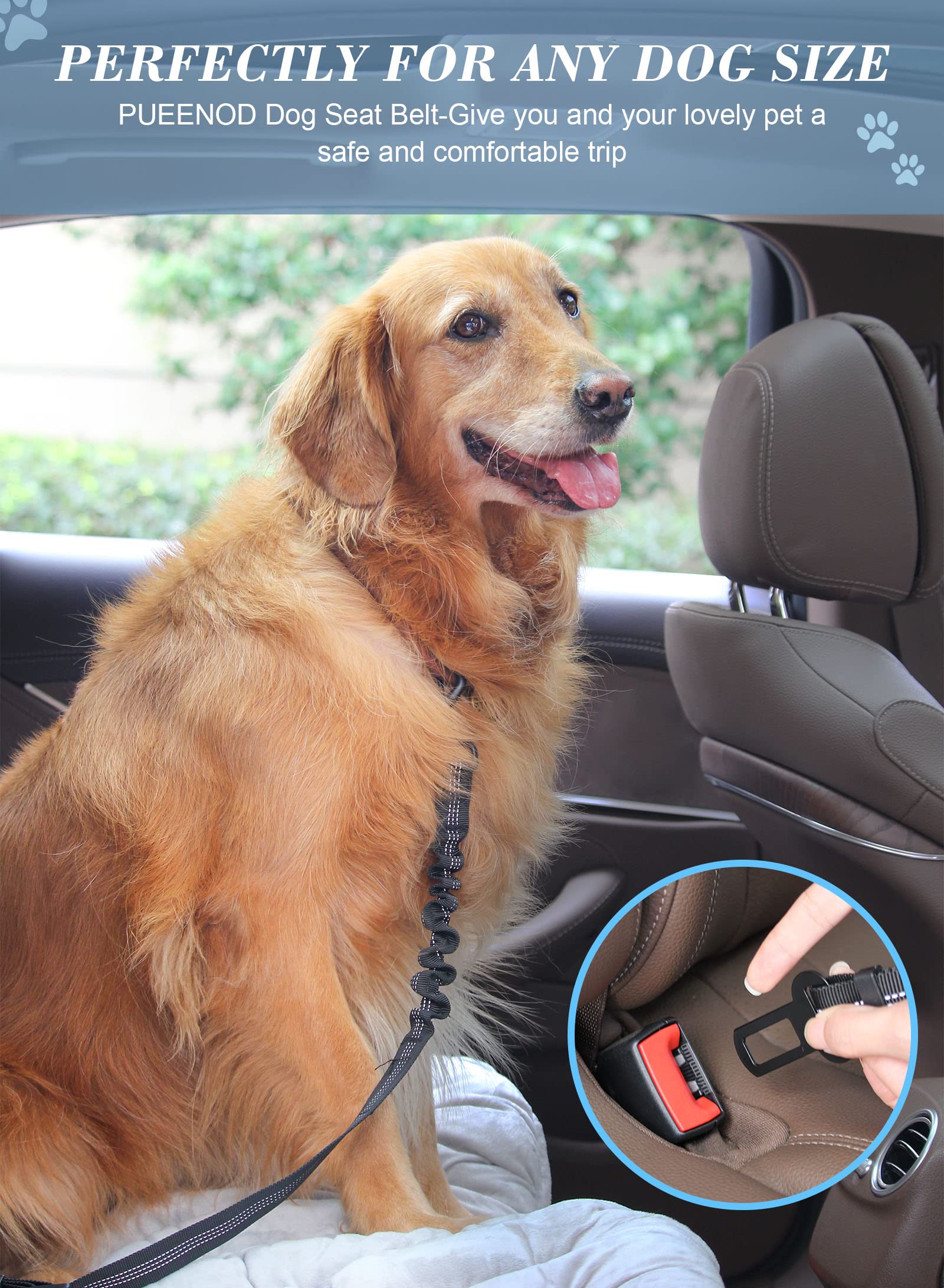 Dog Selt Belt