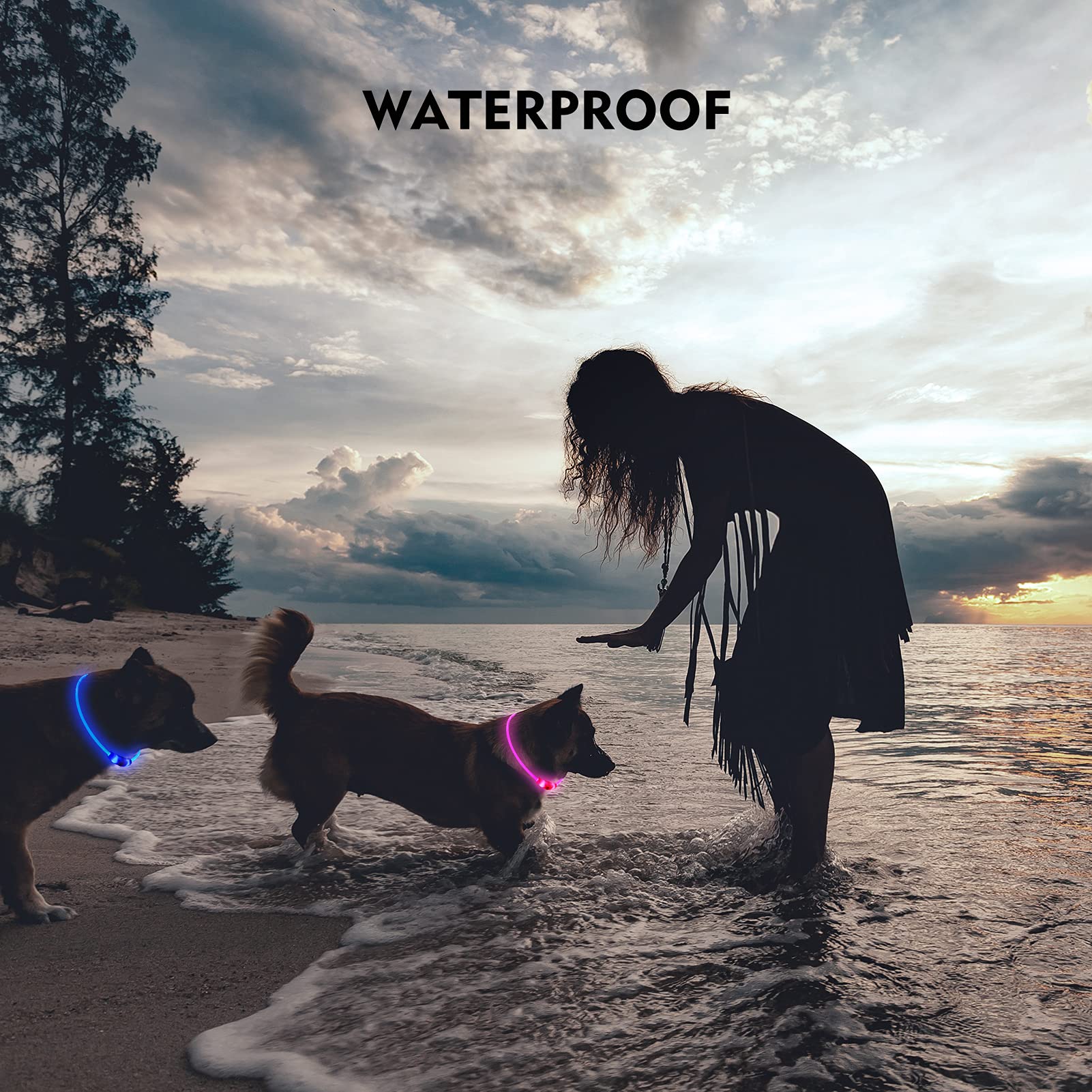 Rechargeable LED Dog Safety Collar
