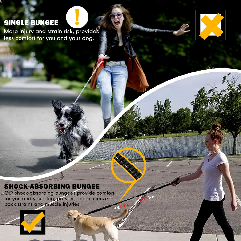 Shock Absorbing Dog Leash with Seat Belt Buckle