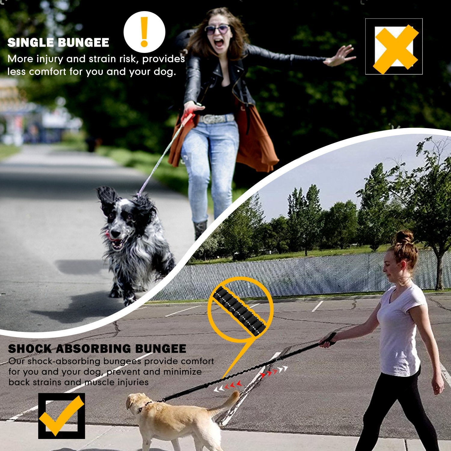 Shock Absorbing Dog Leash with Seat Belt Buckle