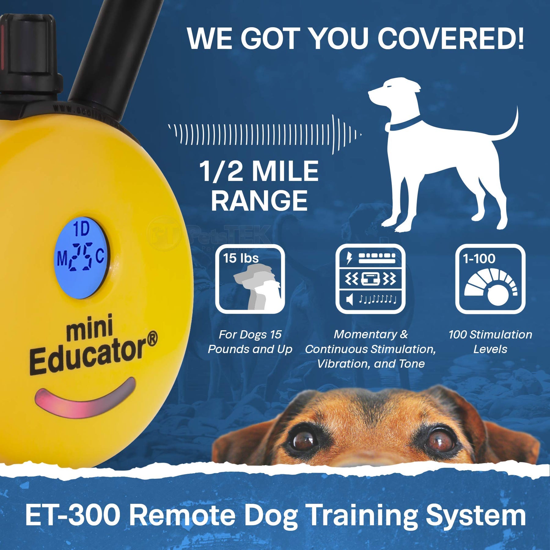 Remote Dog Training Collar 1/2 Mile Range