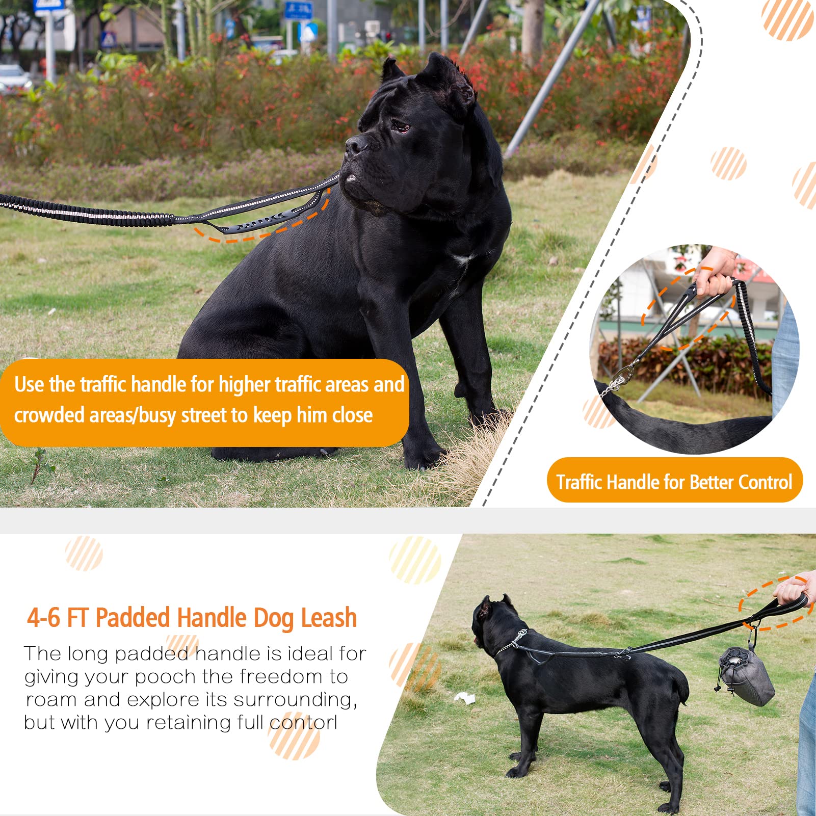 Shock Absorbing Dog Leash with Seat Belt Buckle