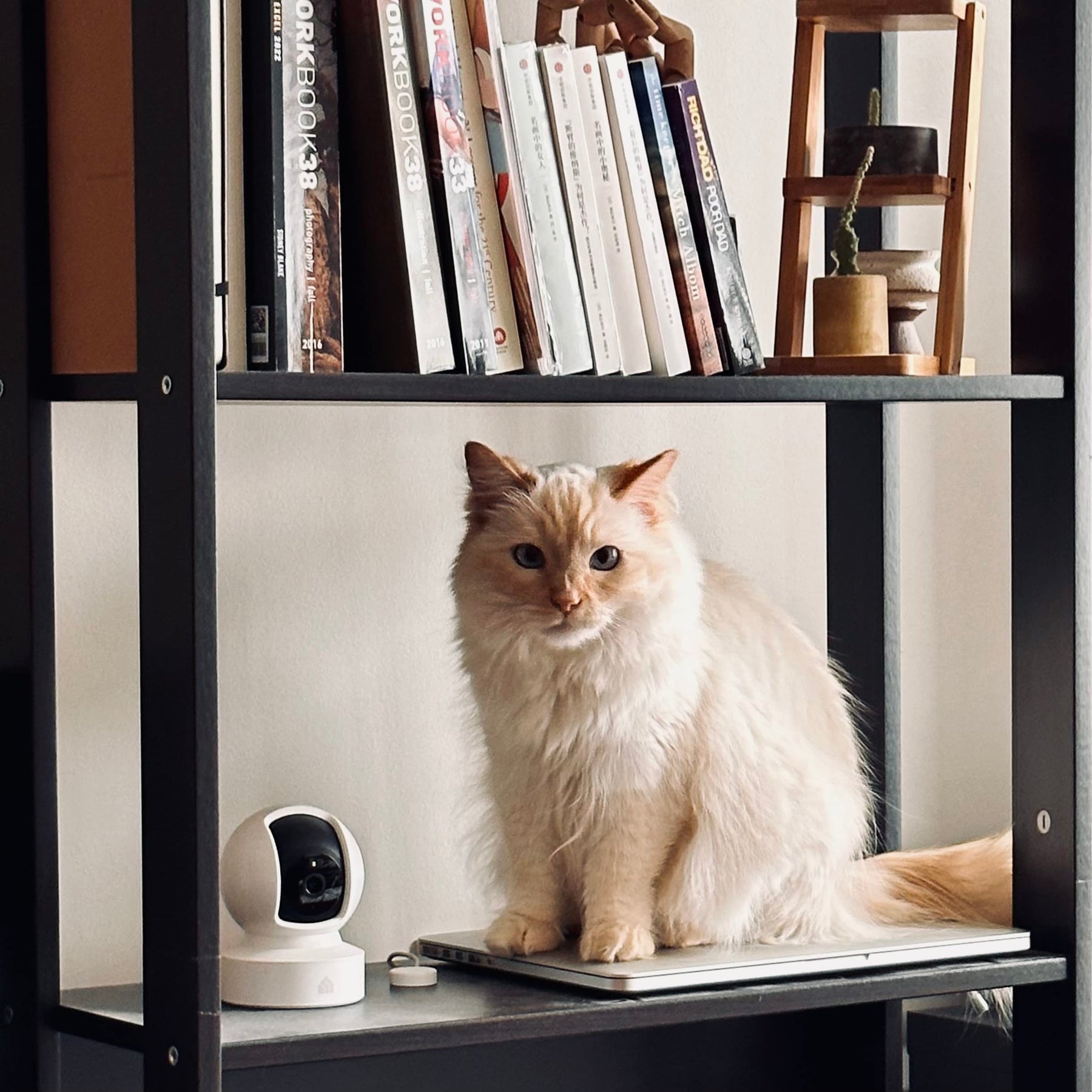 1080p Smart Pet Camera