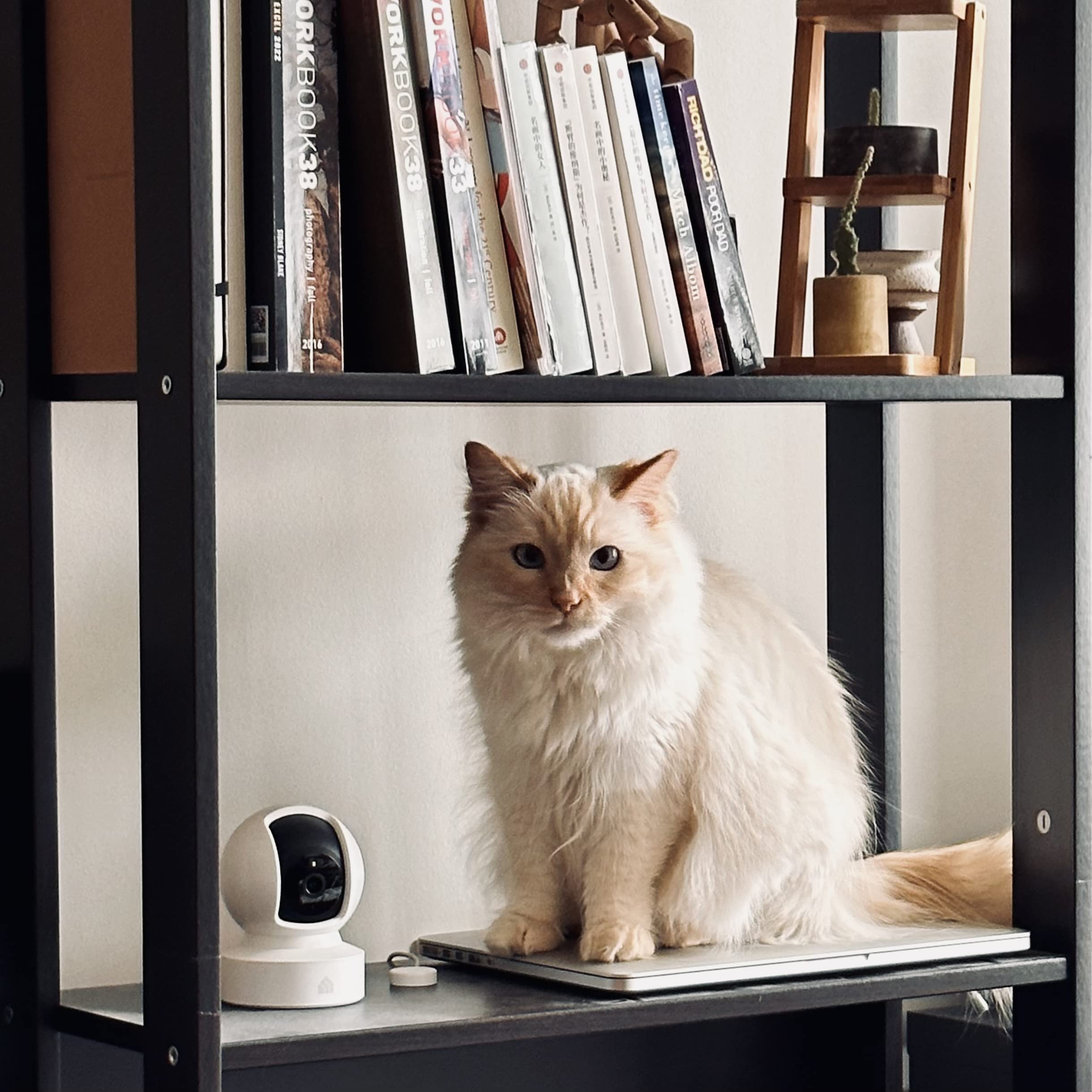 1080p Smart Pet Camera