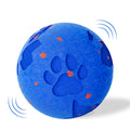 Interactive Automatic Dog Ball