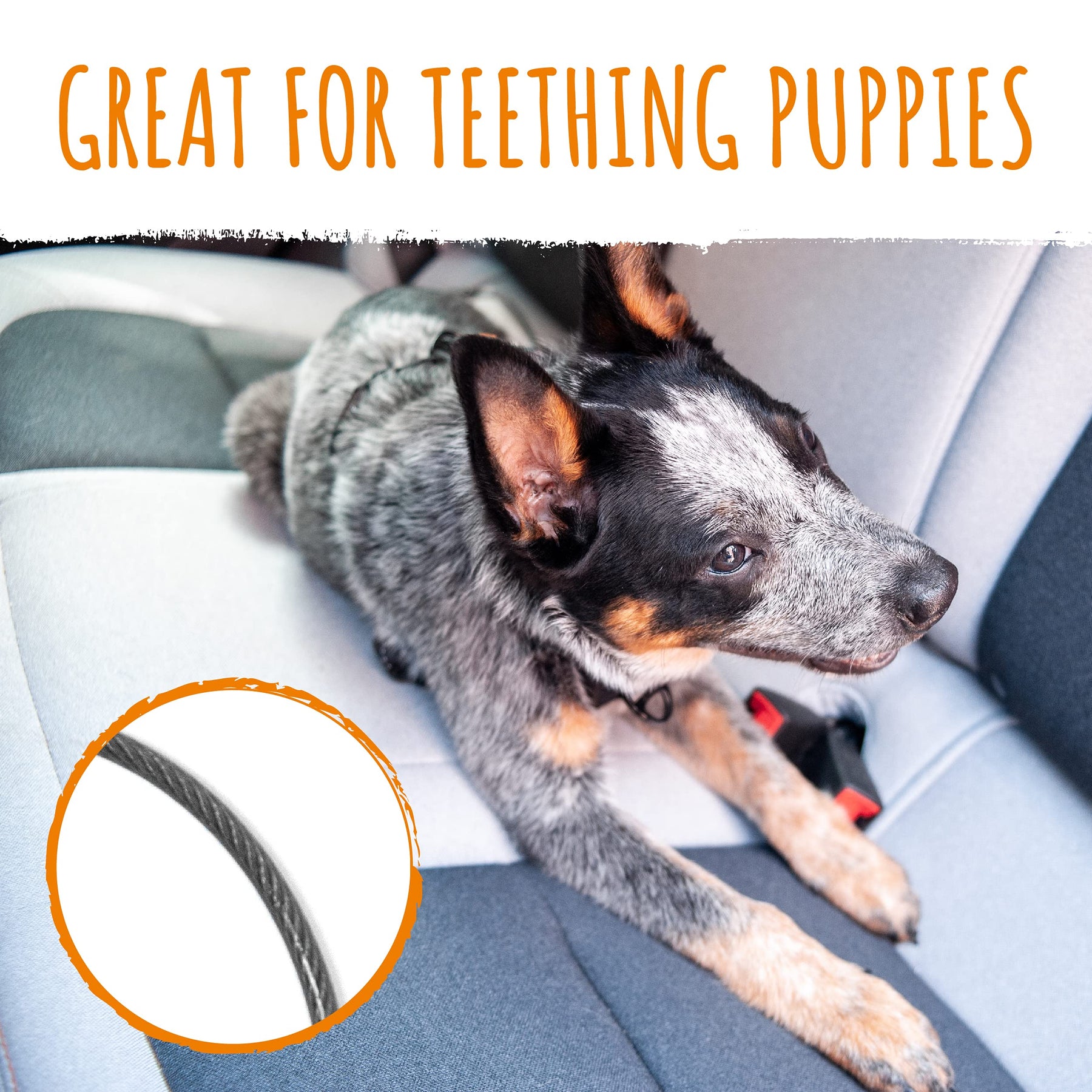 Adjustable Dog Car Safety Belt