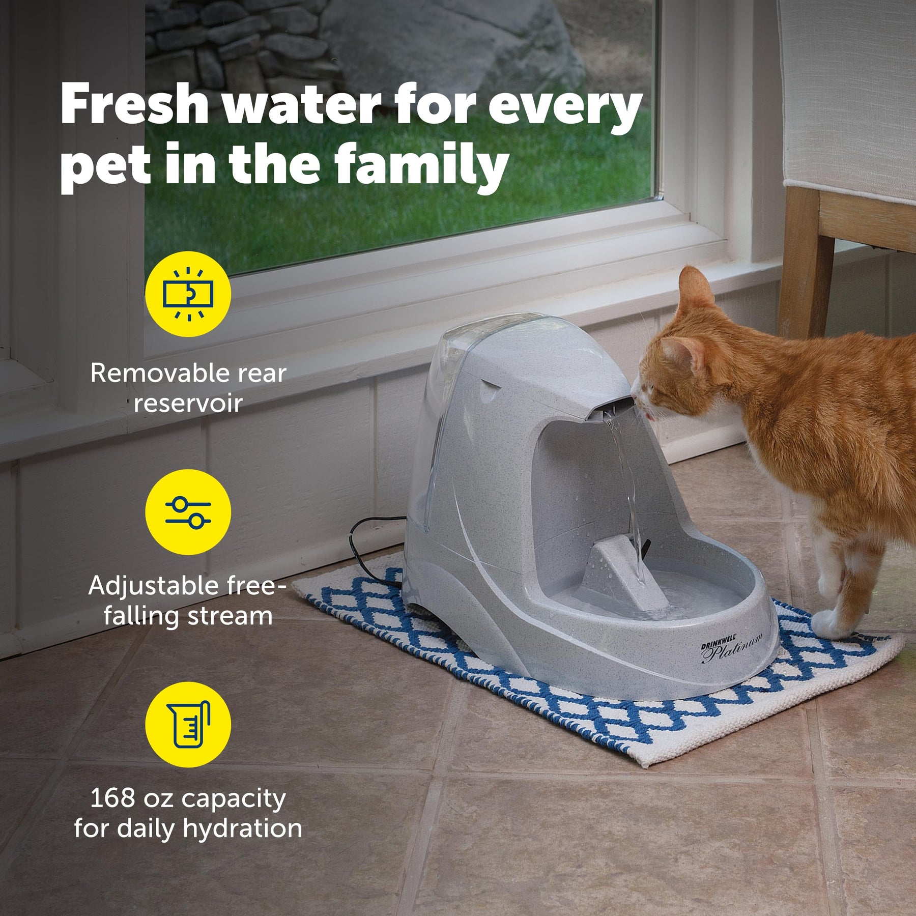PetSafe Animal Water Dispenser